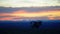 Badlands Bighorn Sheep at Sunset