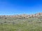 The badlands hills and mountains in Theodore Roosevelt National Park