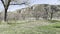 The badlands hills and mountains in Theodore Roosevelt National Park in North Dakota