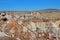 Badlands landscape with tree trunks in Petrified Forest National Park, USA