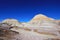 Badlands landscape with tree trunks in Petrified Forest National Park, USA