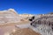 Badlands landscape with tree trunks in Petrified Forest National Park, USA