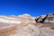 Badlands landscape with tree trunks in Petrified Forest National Park, USA