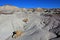 Badlands landscape with tree trunks in Petrified Forest National Park, USA