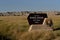 Badlands National Park entrance sign with Badlands in background