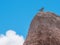 Badlands National Park - Eroded rock formation with bird on top - blue skies and white clouds