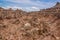 Badlands National Park - Landscape of grasslands and eroded rock formations