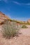 Badlands National Park - Landscape of grasslands and eroded rock formations