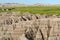 Badlands National Park, South Dakota, USA