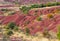 Badlands near Lac du Salagou in France