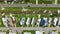 Badly damaged mobile homes after hurricane Ian in Florida residential area. Consequences of natural disaster