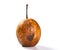 Badly overripe pear on white background