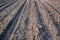 Badly plowed arable land