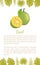 Bael Exotic Juicy Fruit Vector Aegle Poster Text