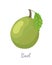 Bael Exotic Juicy Fruit Vector Isolated Icon Aegle