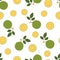 Bael fruit.Seamless Vector Patterns