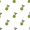 Bael fruit.Seamless Vector Patterns