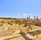 Baelo Claudia Archaeological Site. Tarifa, Cadiz, Andalusia, Spain