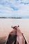 Baffalo cart tour on beach at Iriomote, Okinawa, Japan