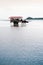 Baffalo cart tour on beach at Iriomote, Okinawa, Japan