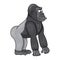 Baffled cartoon male of gorilla