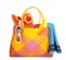 Bag with beach items