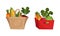 Bag and Crate Full of Fresh Vegetable from Greengrocery Vector Set