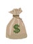 Bag of dollars, vector image