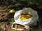 Bag full of nances, harvest Byrsonima crassifolia fruits