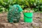 Bag and plastic green bucket with fresh potato crop. Close up