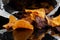 Bag of vegetable crisps reflected on a black background.  Sweet potato, beetroot and parsnip flavour.  Vegan food