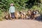 BAGAN, MYANMAR - DECEMBER 6, 2016: Female herder with her goats in Bagan, Myanm