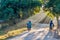 BAGAN, MYANMAR - DECEMBER 8, 2016: Motorcycle and cyclist on a road in Nyaung U village in Baga