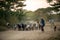 Bagan / Myanmar - Jan 12 2014 : In the countryside, Burmese women herd herds back into the farm