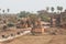 Bagan, Myanmar - March 2019: horse carriages driving tourists through ancient temples and pagodas