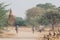 Bagan, Myanmar - March 2019: tamarind pickers walking next to Buddhist temple on background