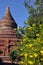 BAGAN, MYANMAR - NOV 13, 2015: Ornamental ancient pagoda and flowers. unesco heritage. View of blooming yellow orange bush in