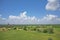 Bagan temple views