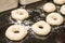 Bagels formed and ready to bake