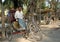 Bagerhat, Bangladesh: Bagerhat, Bangladesh: A rickshaw driver waiting near the Sixty Dome Mosque