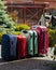 Baggage blue pink orange house sun summer luggage family car ready holidays plant green four