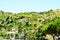 Bagnaia Portoferraio vegetation, landscape and reef, Elba Island