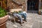 Bagno Vignoni, Tuscany, Italy. August 2021. In the historic center of the village, picturesque flower boxes with jeans. Beautiful