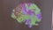 Bagnoli - Panoramica dell`immagine del cervello proiettata sul muro