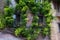 Bagolino medieval village, green wall with religious frescoes.