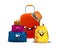 Bags and backpack for travel. Vacation fees. Suitcase character