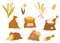 Bags flour and wheat ears set. Wheat, rye, rye ear, symbol of farming, bread, harvest. Whole stems, an organic vegetarian element