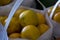 Bags of fresh florida grown oranges