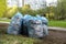 Bags of garbage, leaves, and old grass stand on the green lawn in the yard. spring cleaning of streets, courtyards and