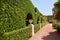 Bahai Gardens, the wall of wild grapes with flowerpots